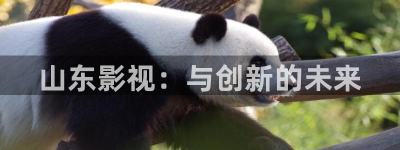 青丝影院免费观看电视剧策驰姑娘