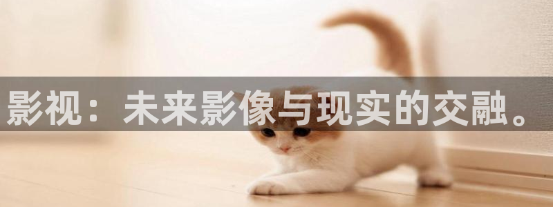 青丝影院在线播放